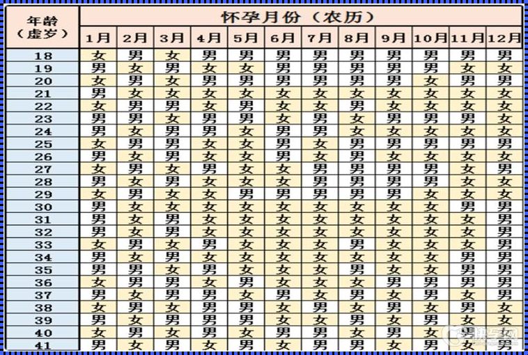 《2023 生育平衡：未来父母们的贴心助手》