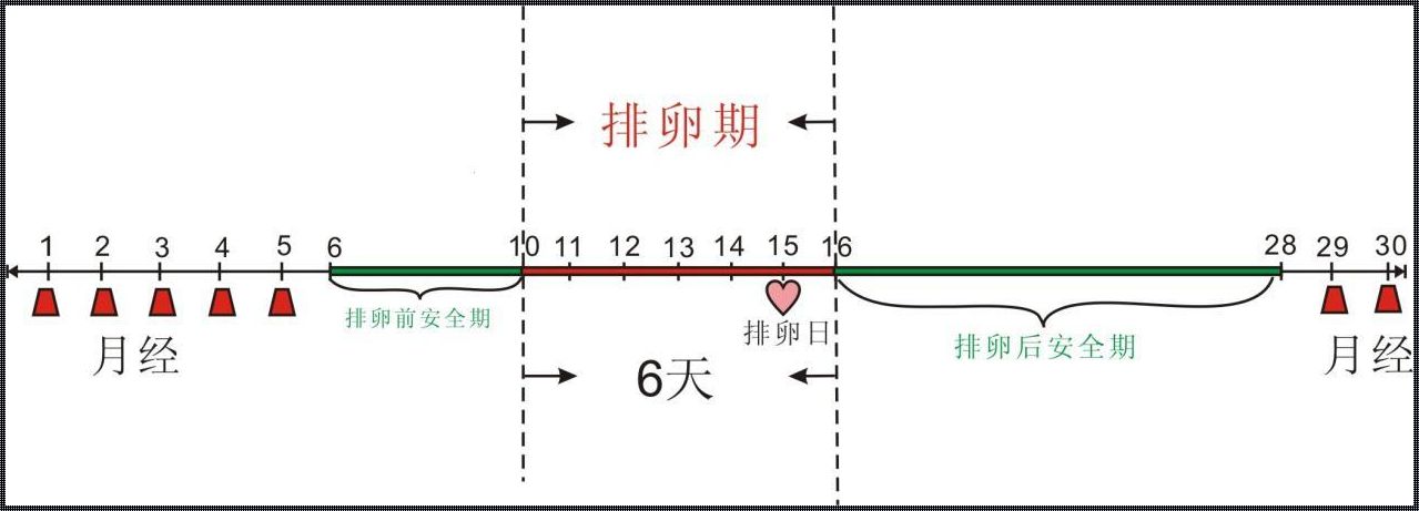 女性安全期怎么算？掌握惊现技巧，轻松判断