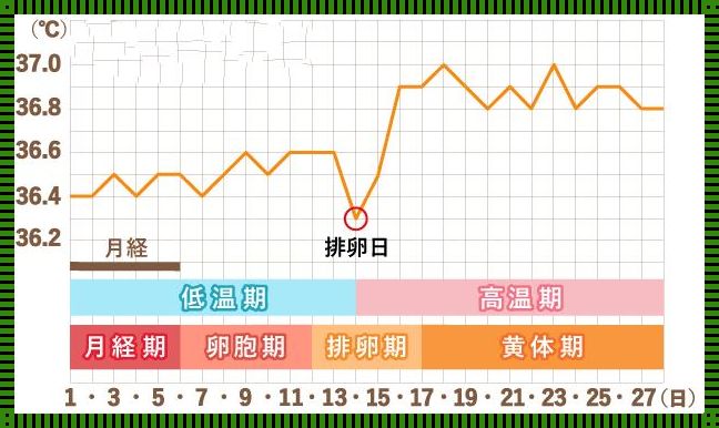 排卵期怎么查才最准确