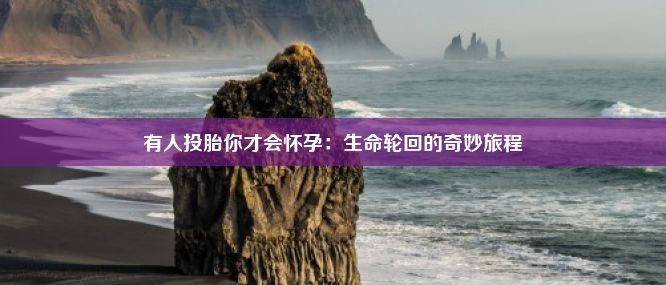 有人投胎你才会怀孕：生命轮回的奇妙旅程