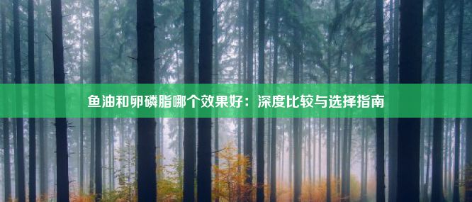 鱼油和卵磷脂哪个效果好：深度比较与选择指南