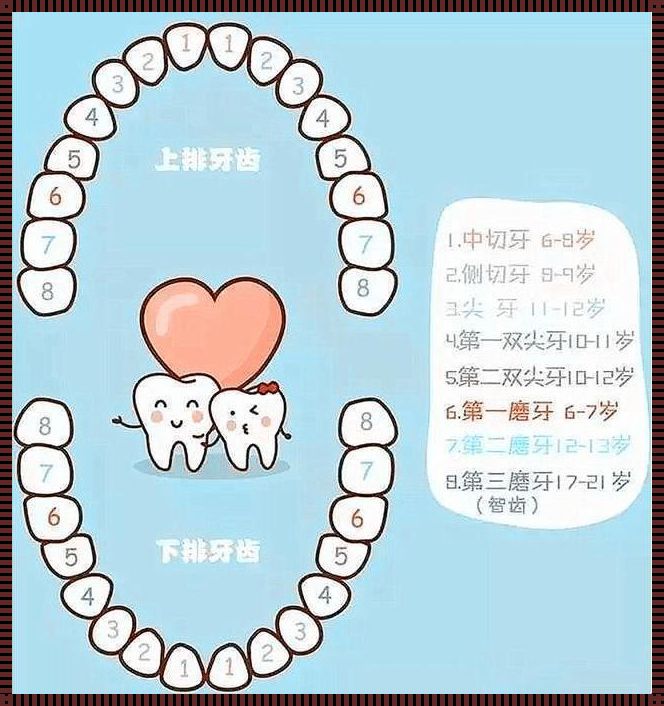 小孩恒牙补了能维持多久：探寻牙齿保健的秘诀