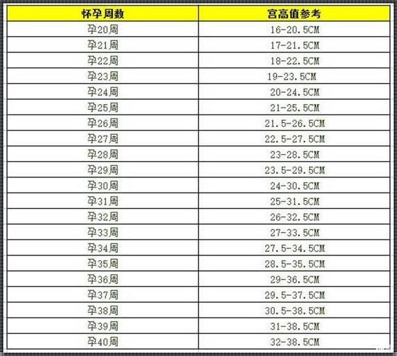 孕期各周宫高对照表：您的孕期指南