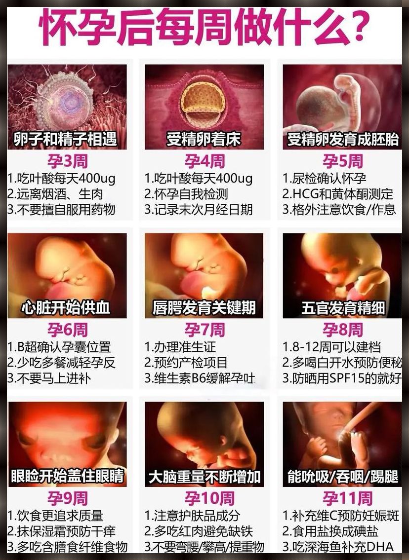 32周，是七个半月还是八个月？揭秘孕周的奥秘