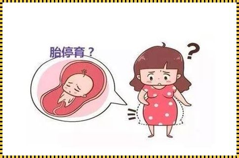 孕六个月胎死腹中征兆：生命的脆弱与母爱的坚强